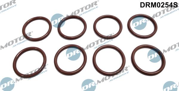 Dr.Motor Automotive DRM0254S - Прокладка, держатель форсунки abcparts.ee