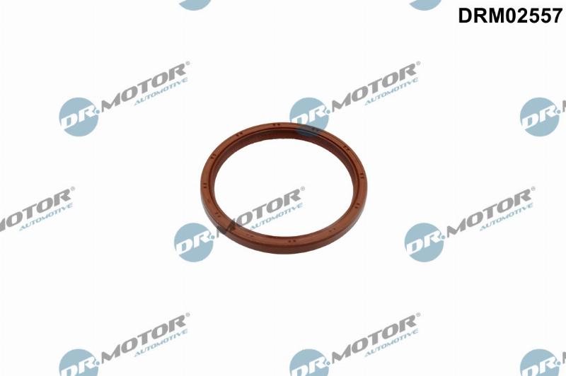 Dr.Motor Automotive DRM02557 - Уплотняющее кольцо, коленчатый вал abcparts.ee