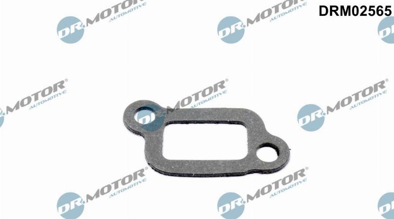 Dr.Motor Automotive DRM02565 - Прокладка, корпус термостата abcparts.ee
