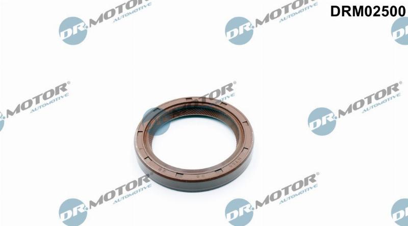Dr.Motor Automotive DRM02500 - Уплотняющее кольцо, распредвал abcparts.ee