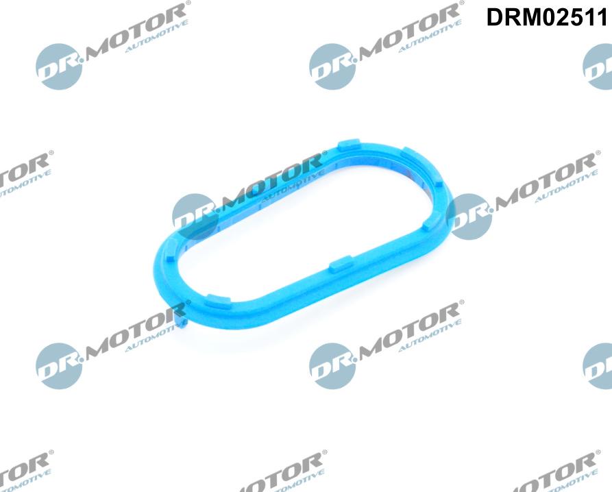 Dr.Motor Automotive DRM02511 - Прокладка, компрессор abcparts.ee