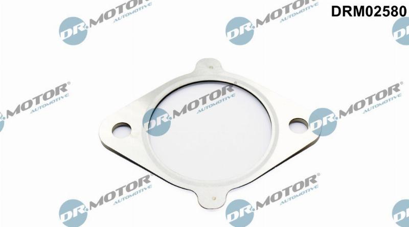 Dr.Motor Automotive DRM02580 - Прокладка, клапан возврата ОГ abcparts.ee