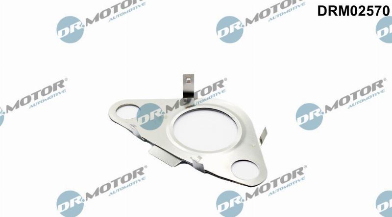 Dr.Motor Automotive DRM02570 - Прокладка, трубка клапана возврата ОГ abcparts.ee