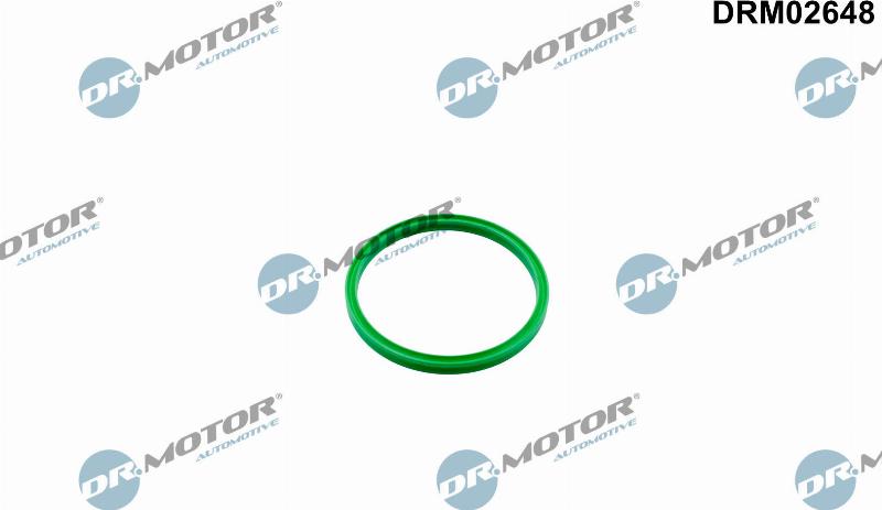 Dr.Motor Automotive DRM02648 - Уплотнительное кольцо, трубка нагнетаемого воздуха abcparts.ee