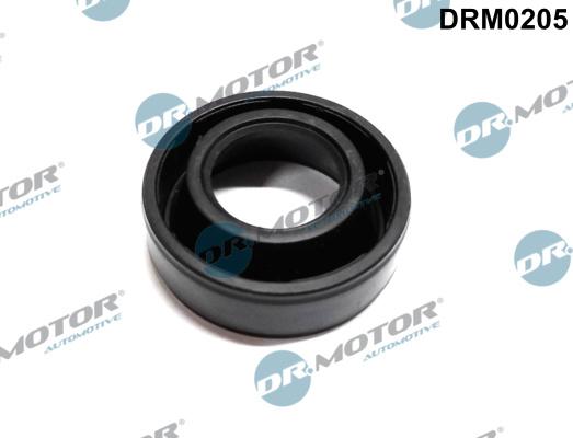 Dr.Motor Automotive DRM0205 - Шайба тепловой защиты, инжектор abcparts.ee