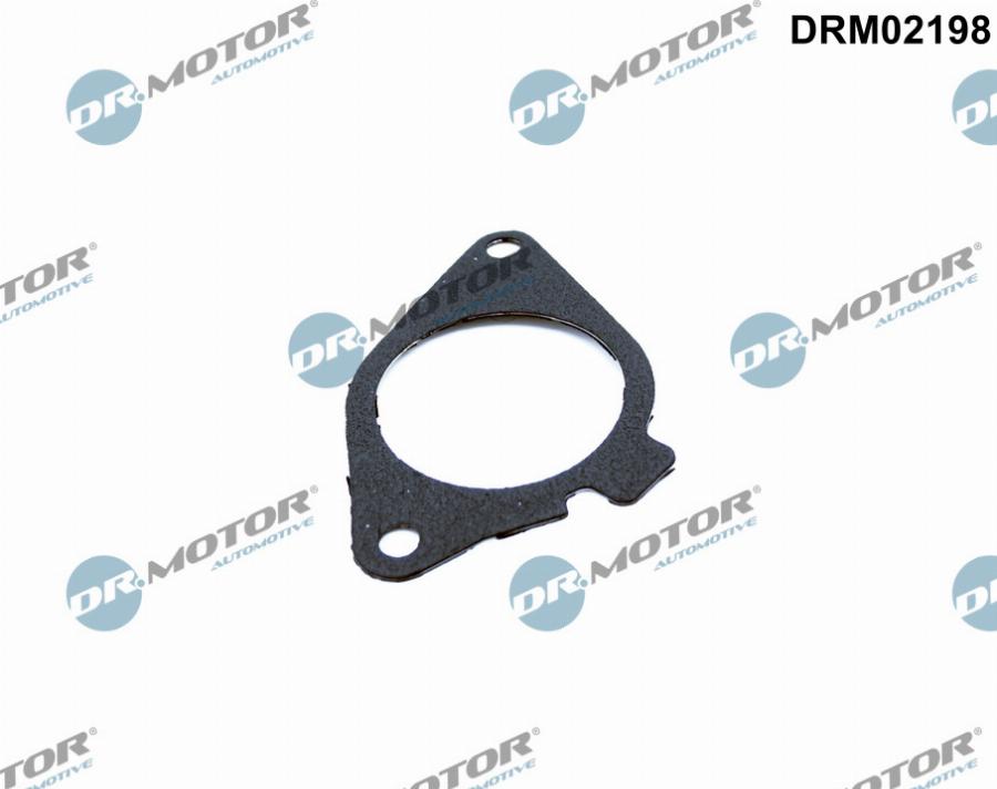 Dr.Motor Automotive DRM02198 - Прокладка, клапан возврата ОГ abcparts.ee