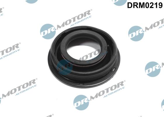 Dr.Motor Automotive DRM0219 - Шайба тепловой защиты, инжектор abcparts.ee