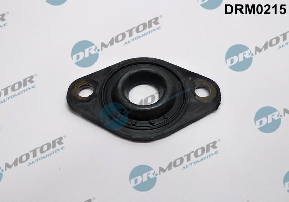 Dr.Motor Automotive DRM0215 - Шайба тепловой защиты, инжектор abcparts.ee