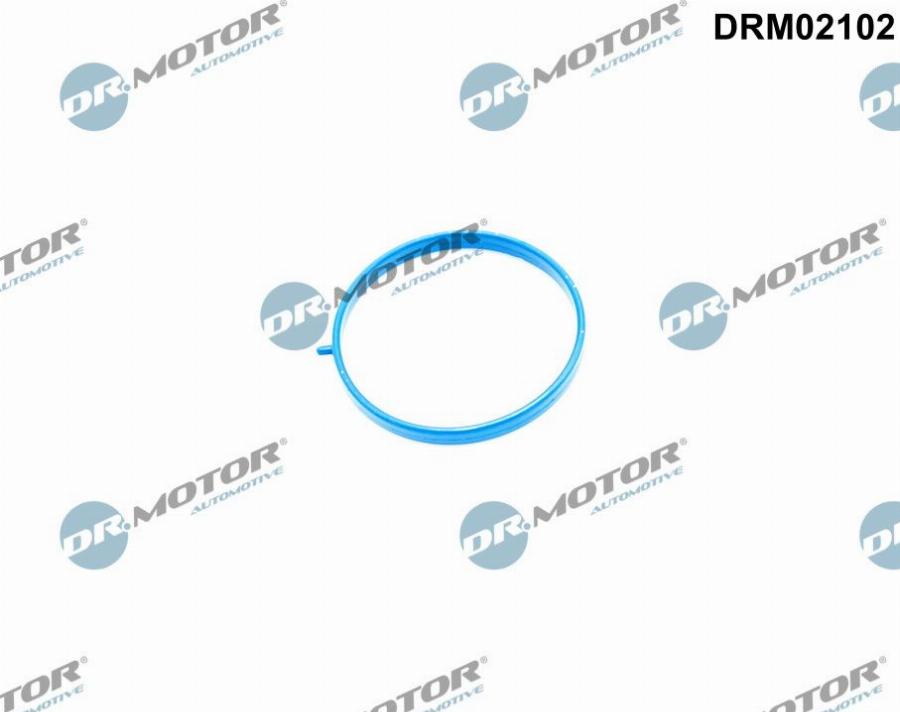 Dr.Motor Automotive DRM02102 - Прокладка, впускной коллектор abcparts.ee