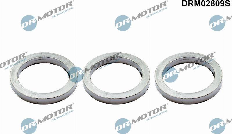 Dr.Motor Automotive DRM02809S - Комплект прокладок, выпускной коллектор abcparts.ee