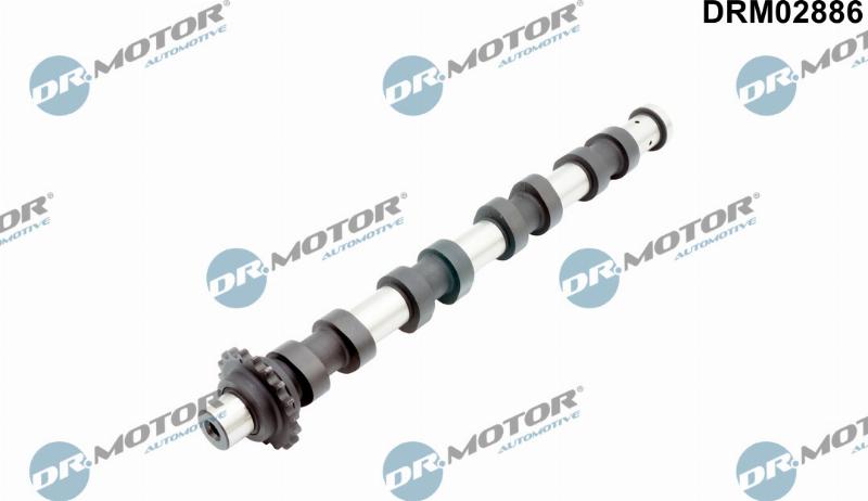 Dr.Motor Automotive DRM02886 - Распредвал abcparts.ee