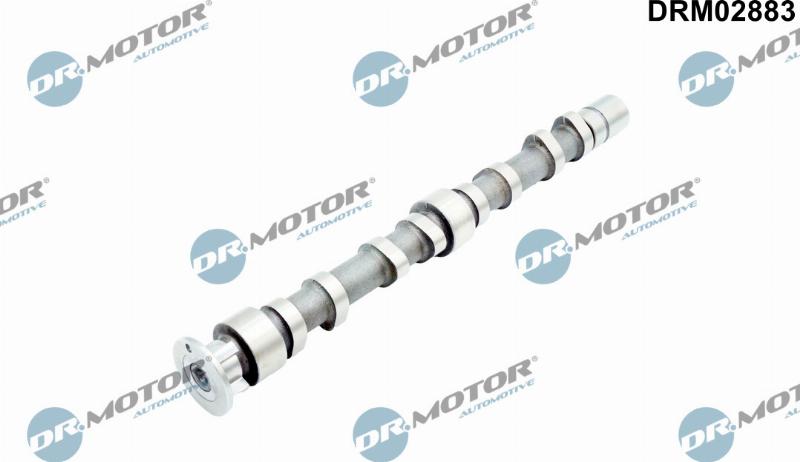 Dr.Motor Automotive DRM02883 - Распредвал abcparts.ee
