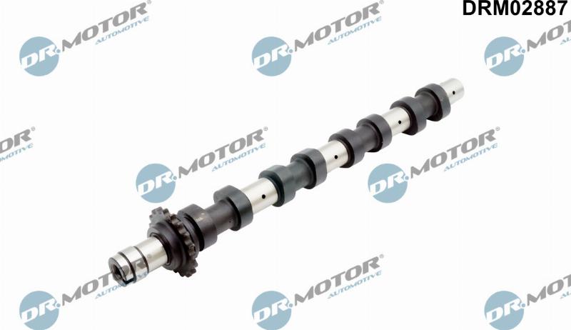 Dr.Motor Automotive DRM02887 - Распредвал abcparts.ee