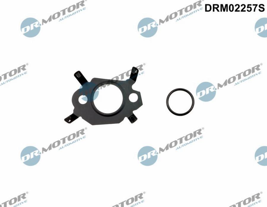 Dr.Motor Automotive DRM02257S - Комплект прокладок, AGR-система abcparts.ee