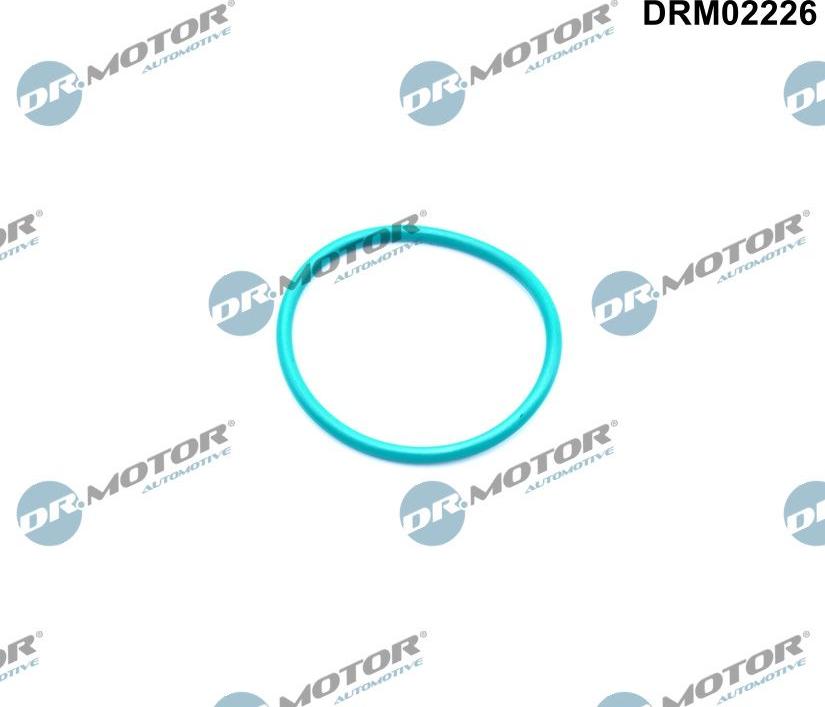 Dr.Motor Automotive DRM02226 - Прокладка, клапан возврата ОГ abcparts.ee