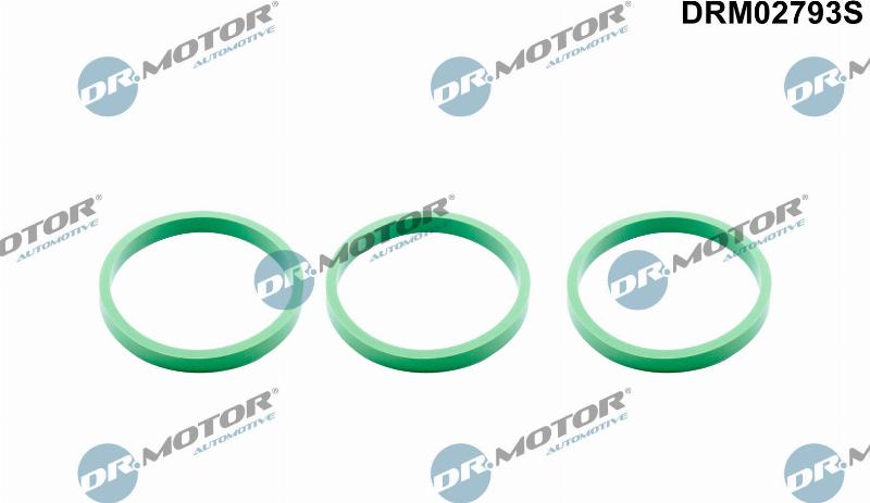 Dr.Motor Automotive DRM02793S - Комплект прокладок, впускной коллектор abcparts.ee