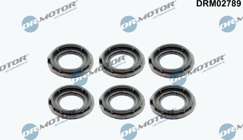 Dr.Motor Automotive DRM02789 - Прокладка, крышка головки цилиндра abcparts.ee