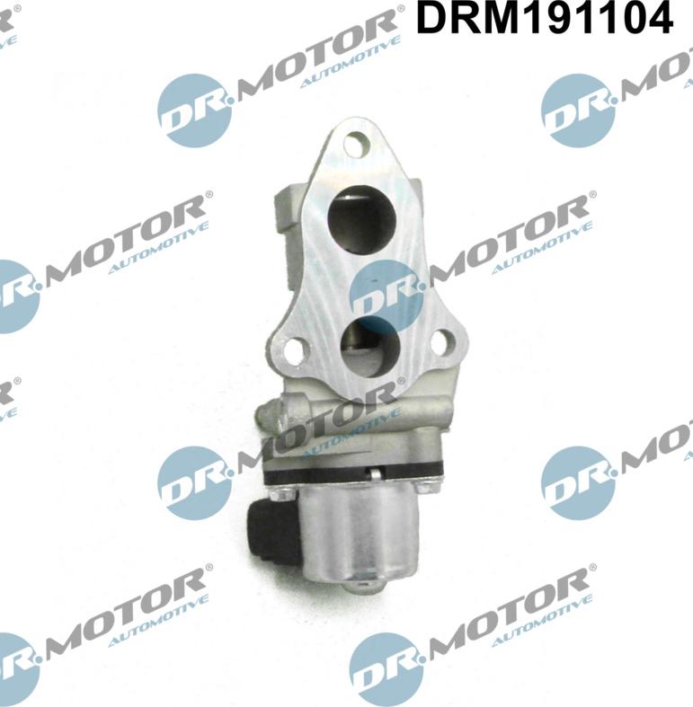 Dr.Motor Automotive DRM191104 - Клапан возврата ОГ abcparts.ee