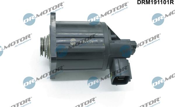 Dr.Motor Automotive DRM191101R - Клапан, управление рециркуляция ОГ abcparts.ee