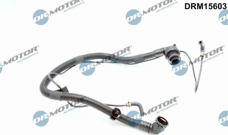 Dr.Motor Automotive DRM15603 - Шланг, вентиляция картера abcparts.ee