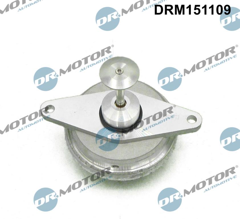 Dr.Motor Automotive DRM151109 - Клапан возврата ОГ abcparts.ee