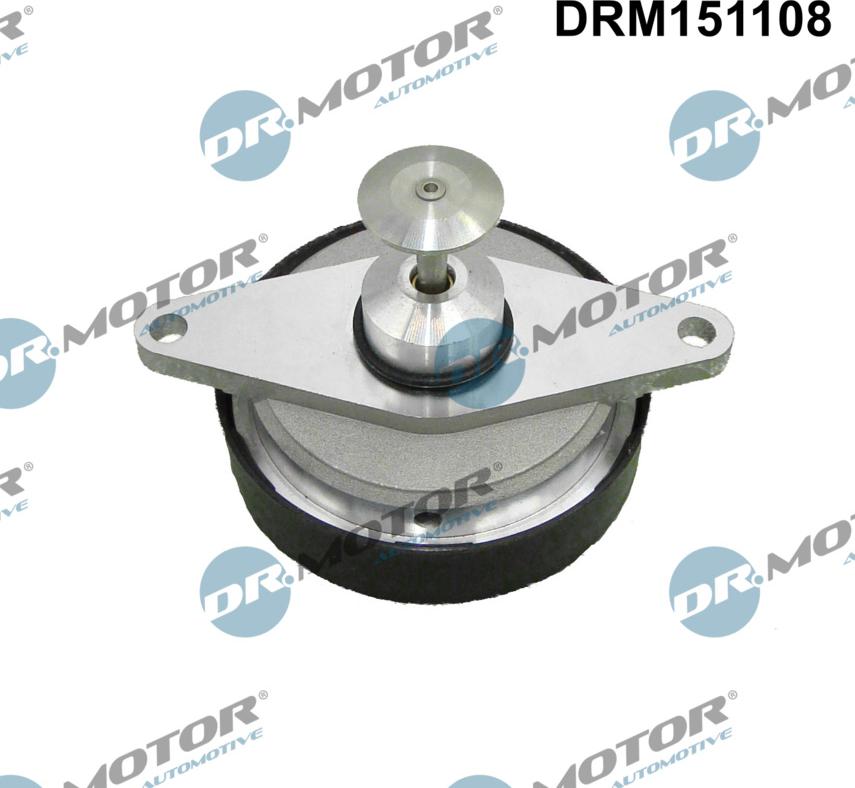 Dr.Motor Automotive DRM151108 - Клапан возврата ОГ abcparts.ee