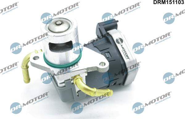Dr.Motor Automotive DRM151103 - Клапан возврата ОГ abcparts.ee