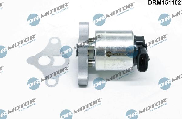 Dr.Motor Automotive DRM151102 - Клапан возврата ОГ abcparts.ee