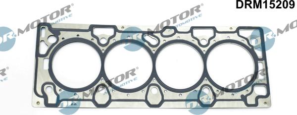 Dr.Motor Automotive DRM15209 - Прокладка, головка цилиндра abcparts.ee