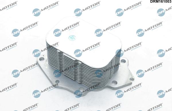 Dr.Motor Automotive DRM161003 - Масляный радиатор, двигательное масло abcparts.ee
