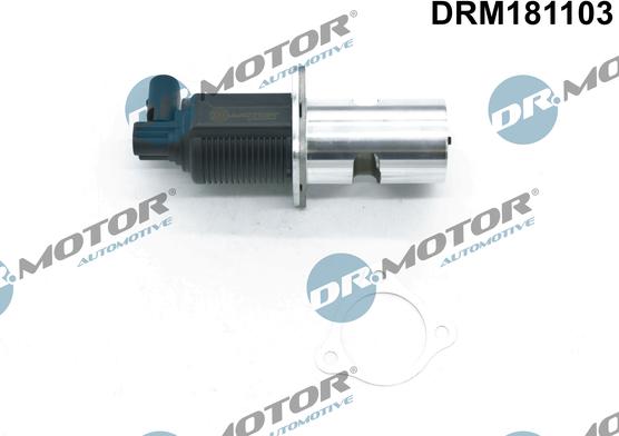 Dr.Motor Automotive DRM181103 - Клапан возврата ОГ abcparts.ee