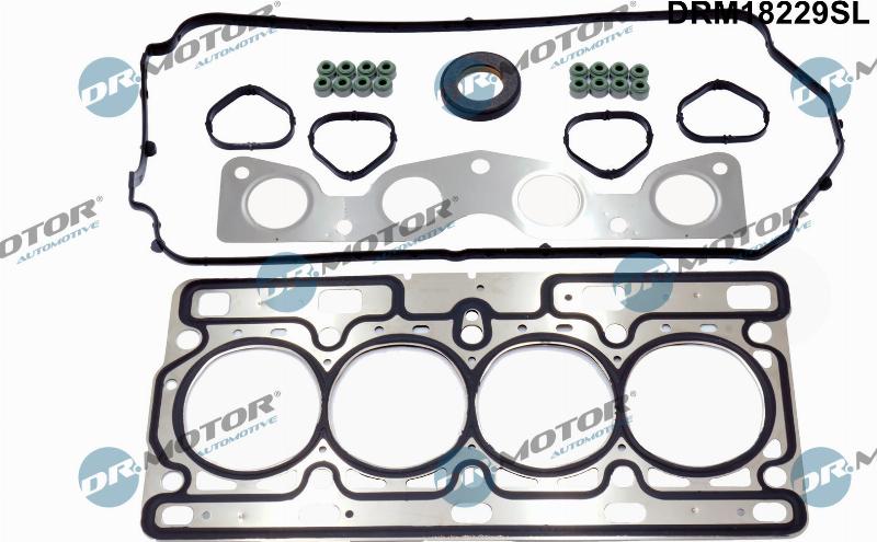 Dr.Motor Automotive DRM18229SL - Комплект прокладок, головка цилиндра abcparts.ee