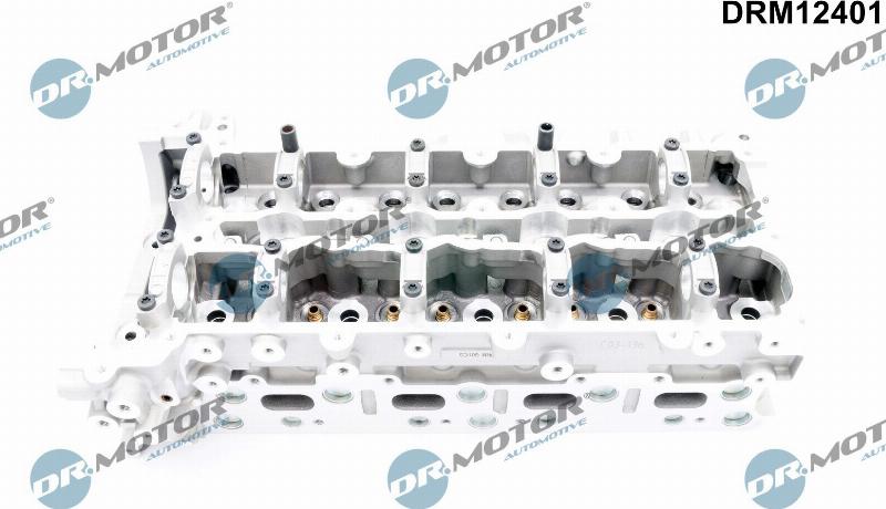 Dr.Motor Automotive DRM12401 - Головка цилиндра abcparts.ee