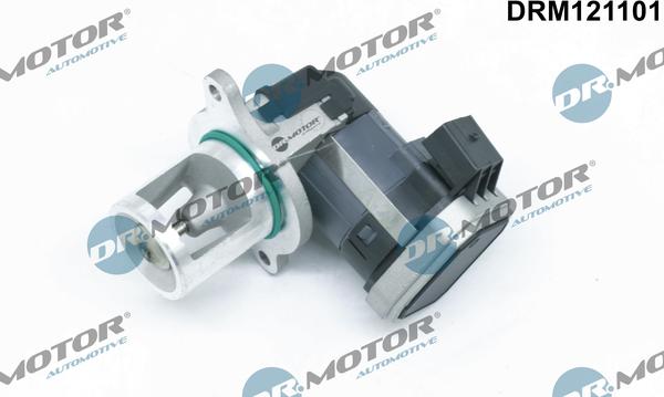Dr.Motor Automotive DRM121101 - Клапан возврата ОГ abcparts.ee