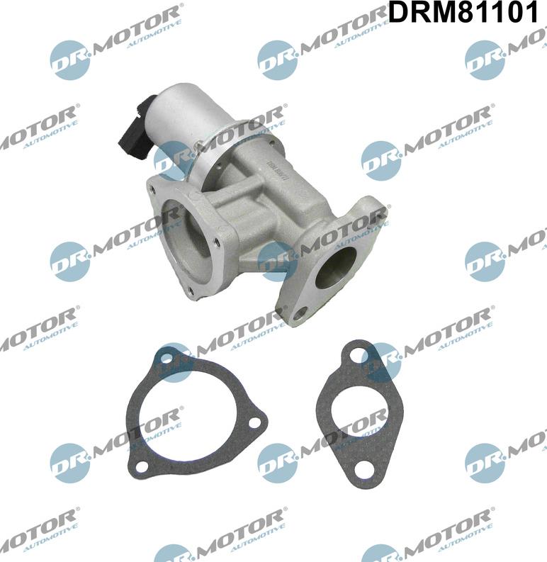 Dr.Motor Automotive DRM81101 - Клапан возврата ОГ abcparts.ee