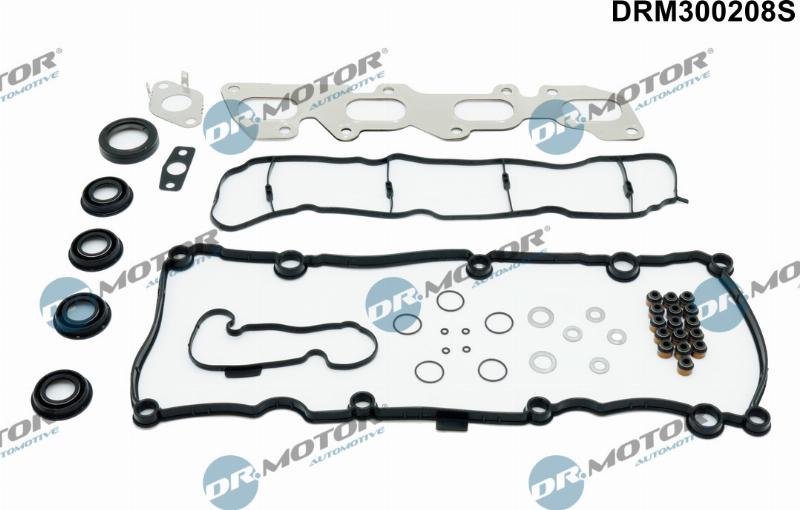 Dr.Motor Automotive DRM300208S - Комплект прокладок, двигатель abcparts.ee