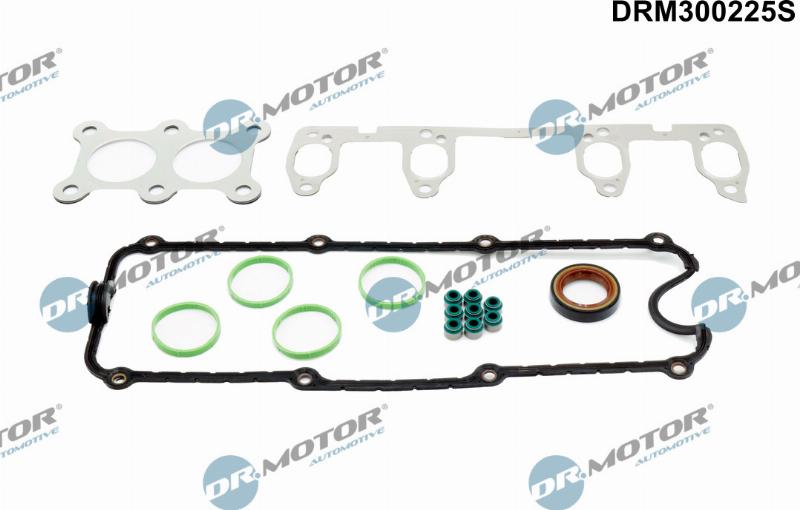 Dr.Motor Automotive DRM300225S - Комплект прокладок, головка цилиндра abcparts.ee