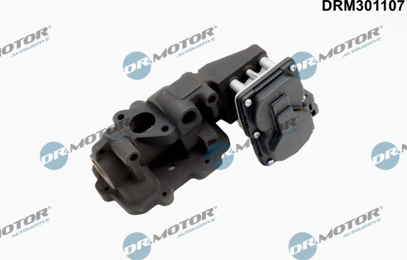 Dr.Motor Automotive DRM301107 - Клапан возврата ОГ abcparts.ee