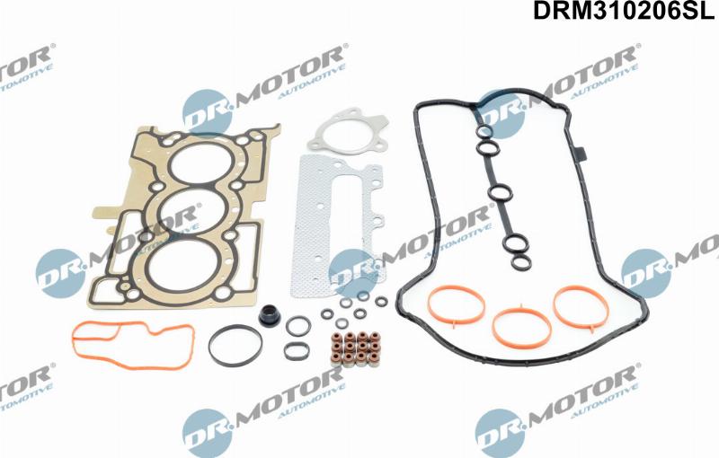 Dr.Motor Automotive DRM310206SL - Комплект прокладок, головка цилиндра abcparts.ee