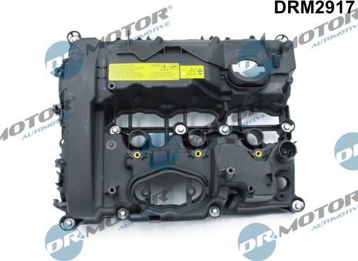 Dr.Motor Automotive DRM2917 - Крышка головки цилиндра abcparts.ee