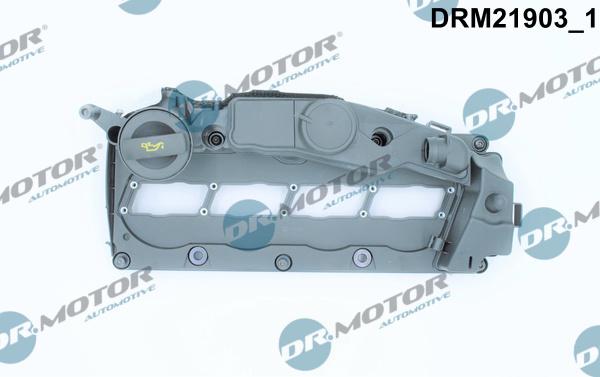 Dr.Motor Automotive DRM21903 - Крышка головки цилиндра abcparts.ee