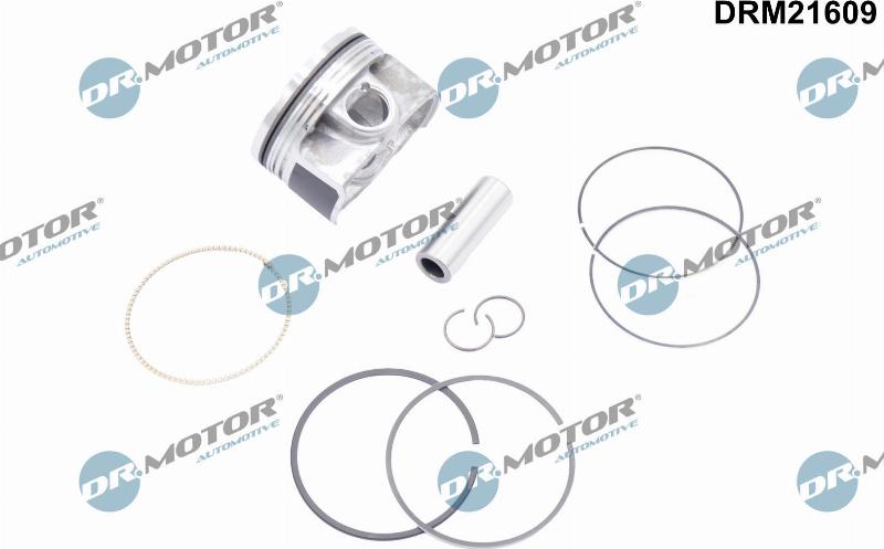 Dr.Motor Automotive DRM21609 - Поршень abcparts.ee