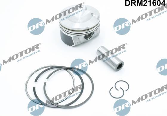 Dr.Motor Automotive DRM21604 - Поршень abcparts.ee