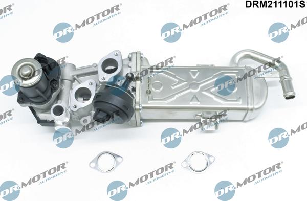 Dr.Motor Automotive DRM211101S - Клапан возврата ОГ abcparts.ee