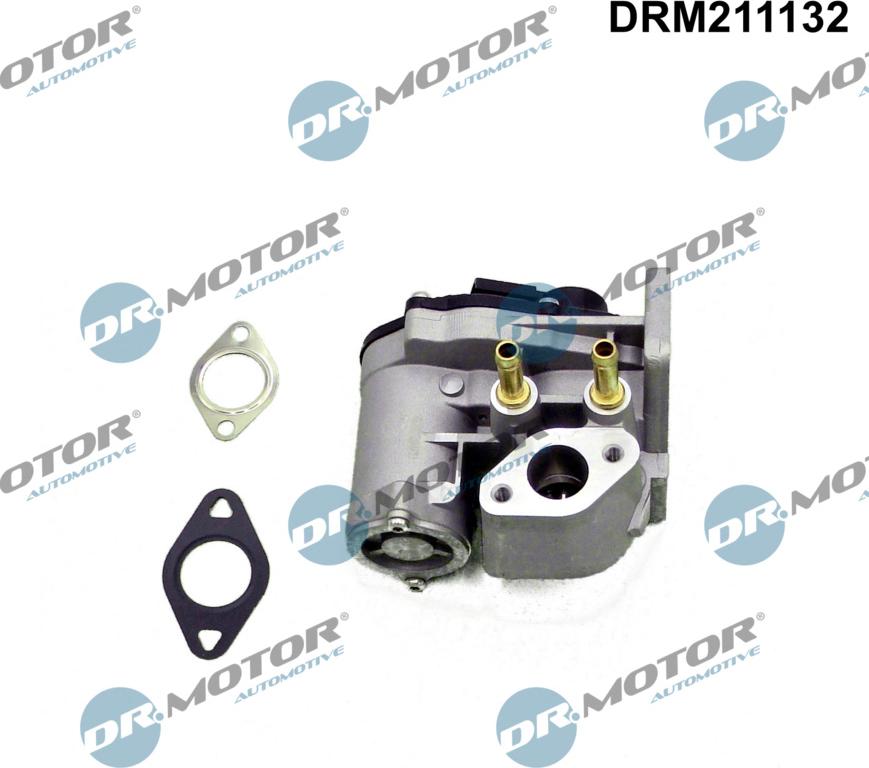 Dr.Motor Automotive DRM211132 - Клапан возврата ОГ abcparts.ee