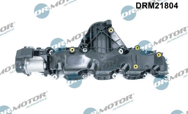 Dr.Motor Automotive DRM21804 - Модуль впускной трубы abcparts.ee