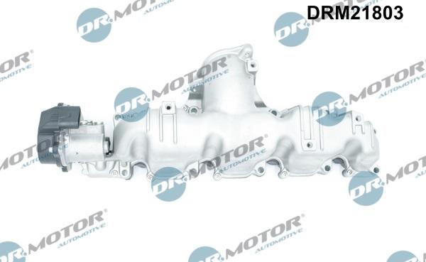 Dr.Motor Automotive DRM21803 - Модуль впускной трубы abcparts.ee
