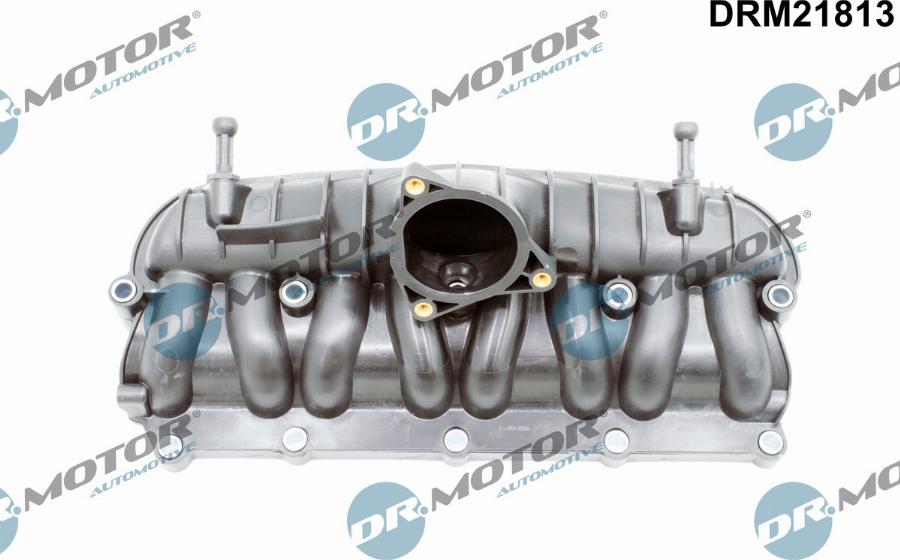 Dr.Motor Automotive DRM21813 - Модуль впускной трубы abcparts.ee