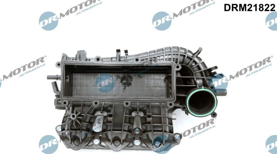 Dr.Motor Automotive DRM21822 - Модуль впускной трубы abcparts.ee