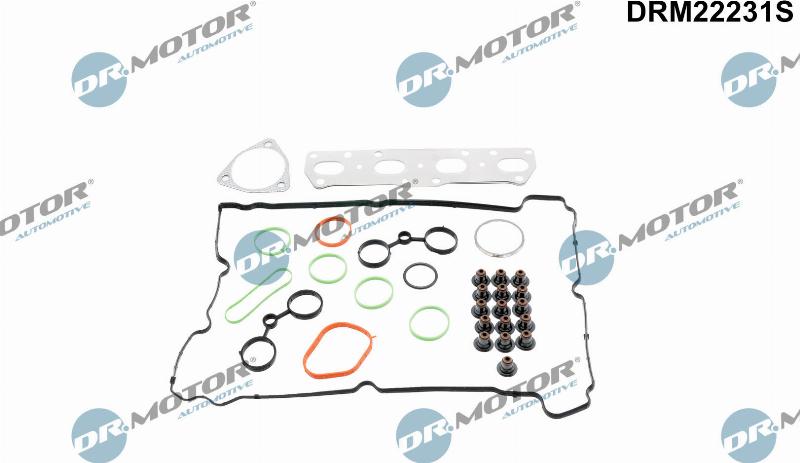 Dr.Motor Automotive DRM22231S - Комплект прокладок, головка цилиндра abcparts.ee